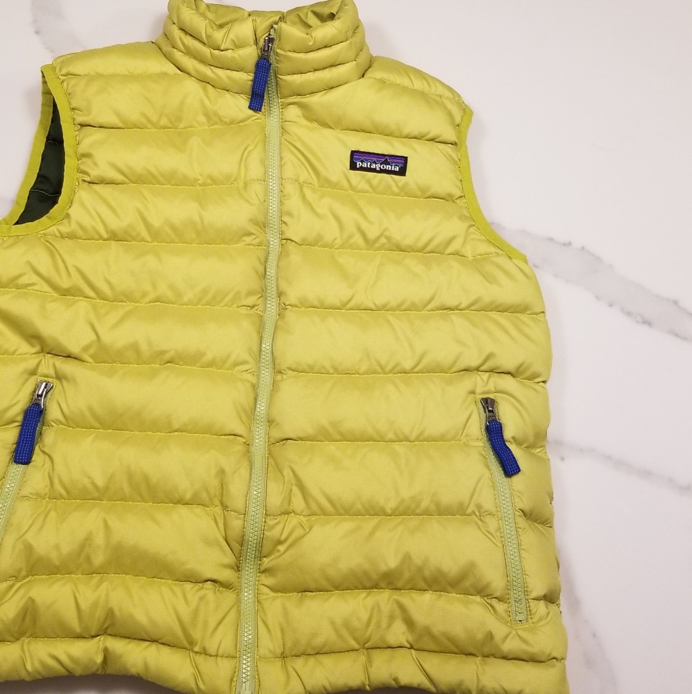 Patagonia Down Vest
